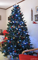christmas tree 2010 christmas tree 2010