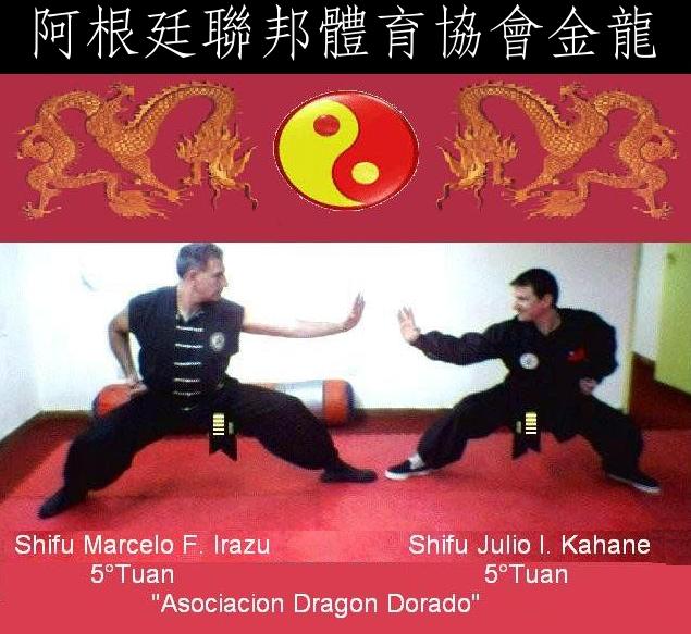 VIDEO-DVD "Formas y Tecnicas Especiales de Kung Fu Completas Realizadas por el Shifu Marcelo Irazu"
