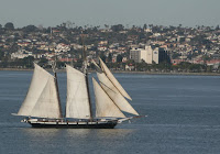 Sailboat in San Diego Bay