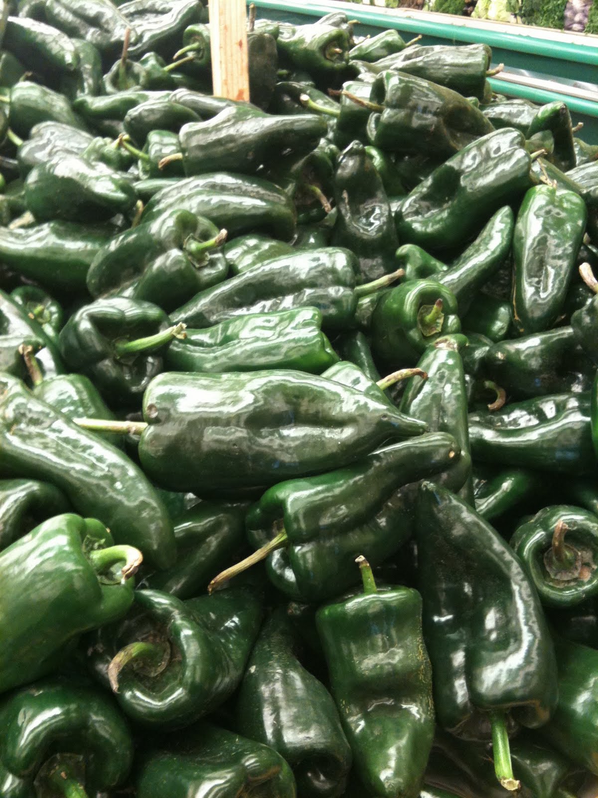 Bobby Flay and Green Chile Enchiladas Yvonne