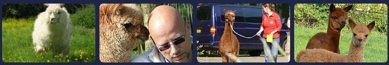 The information - site for alpacabreeders and - vets