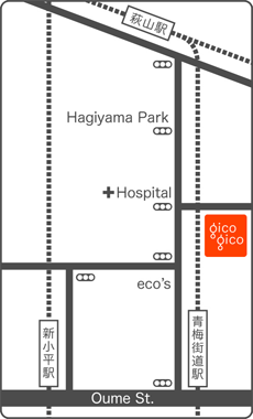 Acces Map