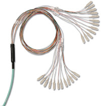 Trunk Cable Assemblies