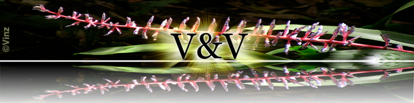 V&V blog