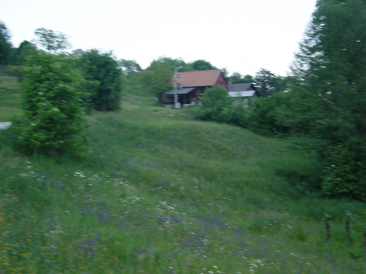 [DSC09678.JPG]