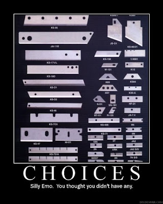 Choices Demotivational Poster