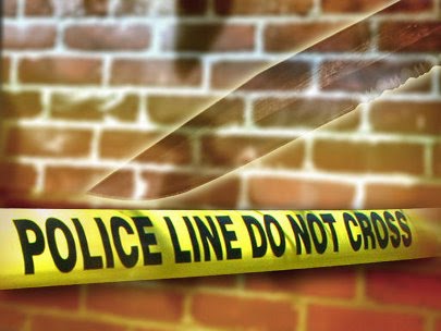 plainfield illinois stabbings