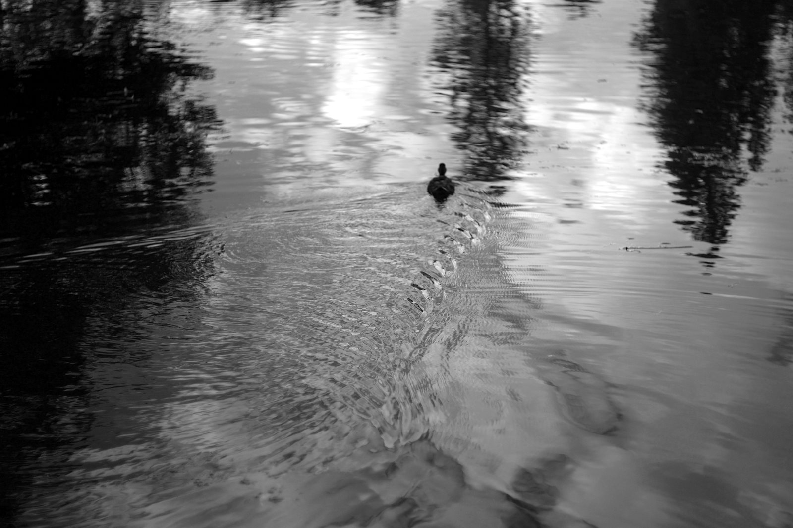 L1033757.JPG