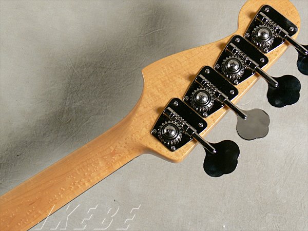 [pb70-us-ash-3ts-r-09.jpg]