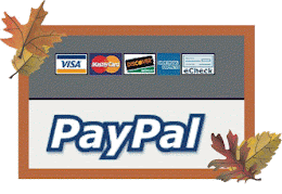 pay with paypal