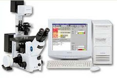 Image Analysis System