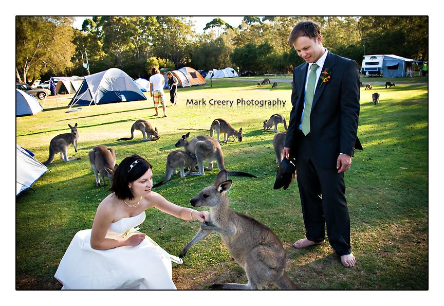 [vera&andrew16.jpg]