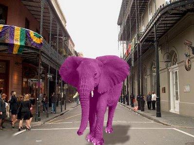 [Elefante.JPG]