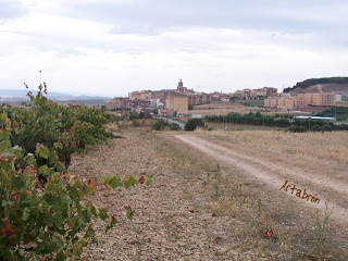 Vista de Viana desde el Camino