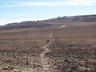 Peregrinos de camino entre Viloria y Villamayor del Río
