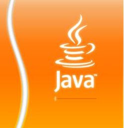 Java software allows you to