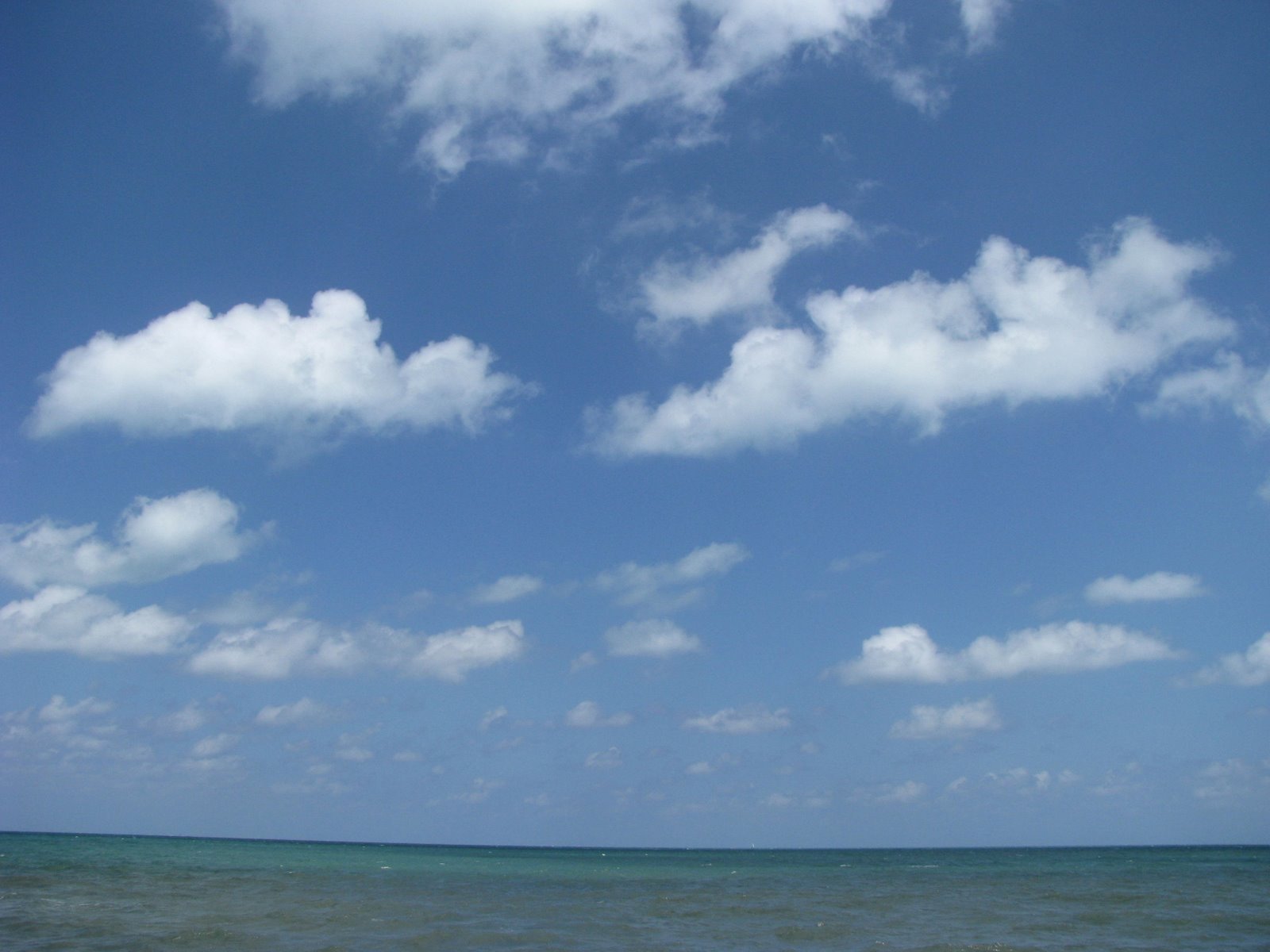 [Big+Sky.jpg]