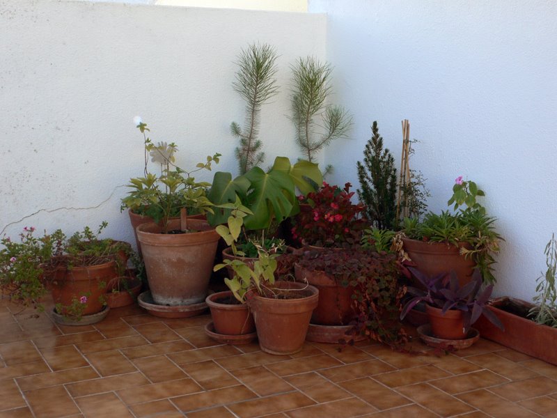 [L1140901.jpg]