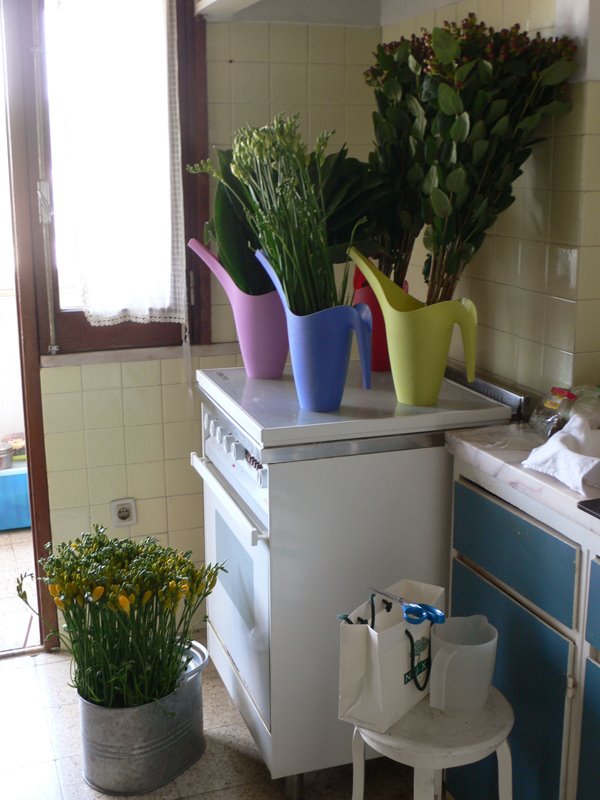 [L1150543.jpg]