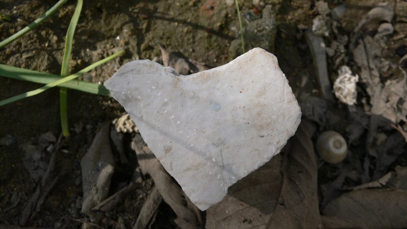 [L1190109.jpg]