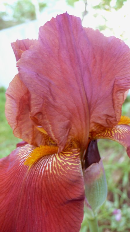 [L1190915.jpg]