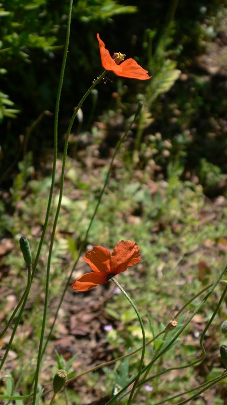 [L1200377.jpg]