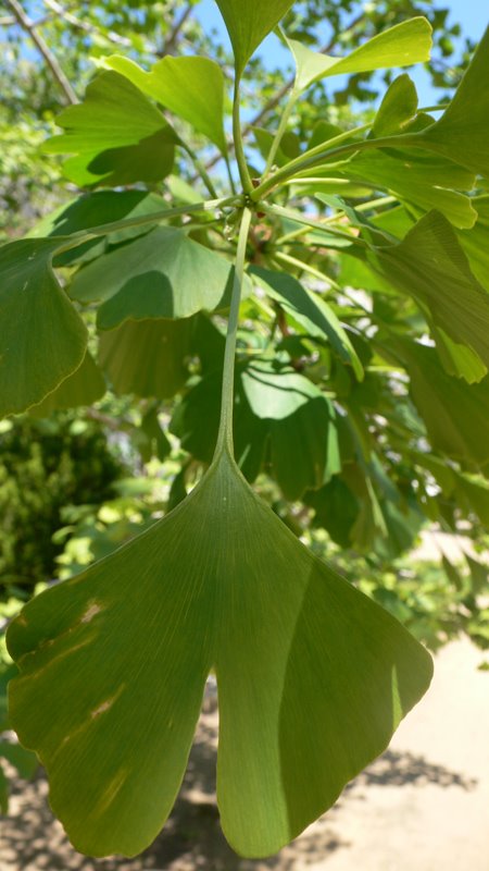 [L1200286.jpg]