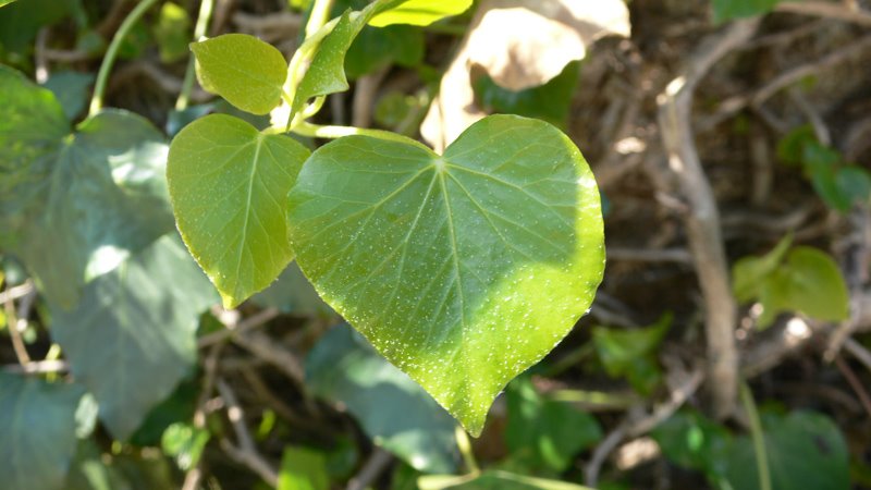 [L1190572.jpg]