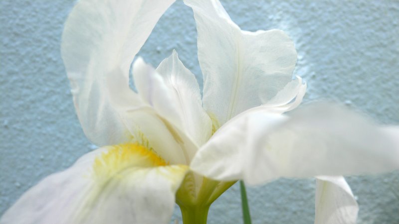 [L1210176.jpg]