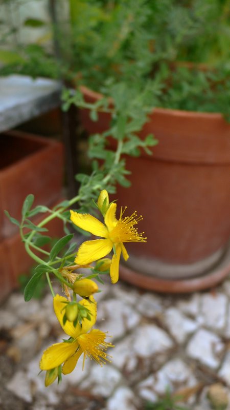 [L1220319.jpg]