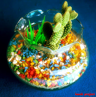 terarium