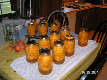 Peaches 2007