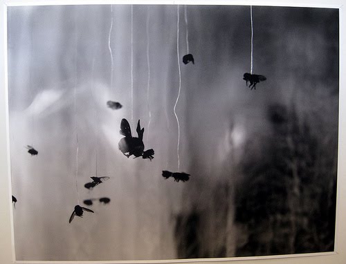 [3423794262_e96ca82020.jpg]