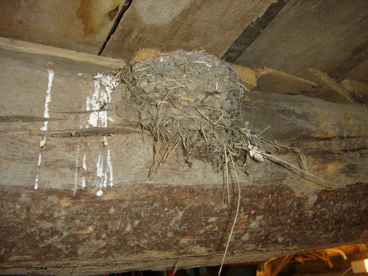 [DSC03360.JPG]