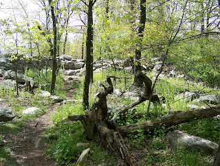 Stone Fort main area