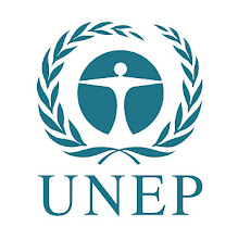 PNUMA UNEP (siglas en Ingles)