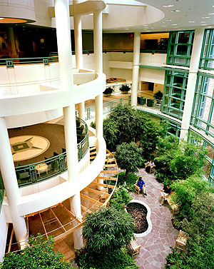 [bronsonmethodist.jpg]