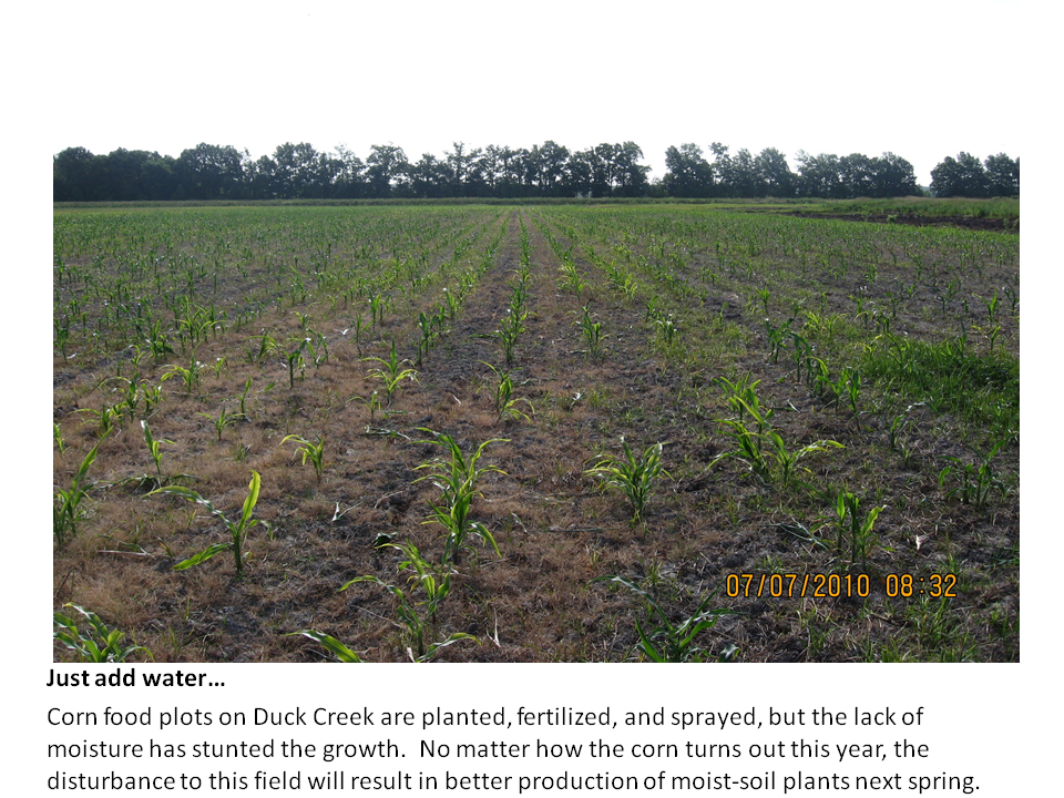 What a Difference a Year Makes Missouri Department of Conservation