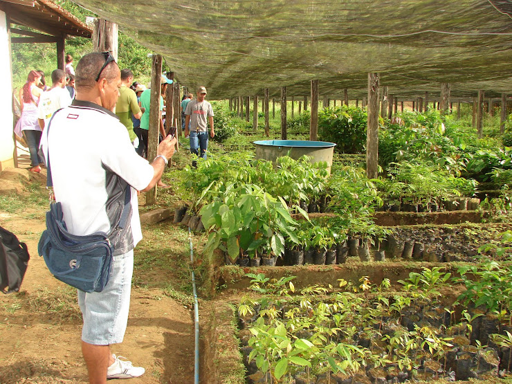 Aula de Campo