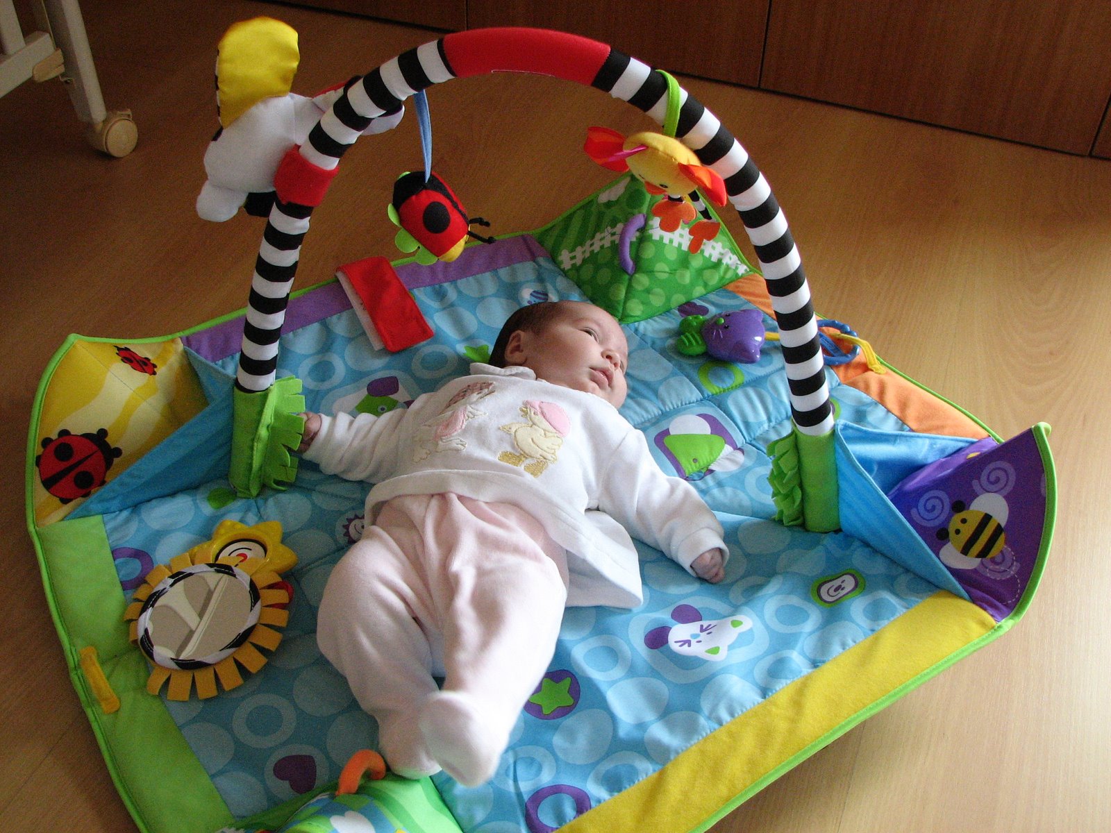 [IMG_9855.JPG]