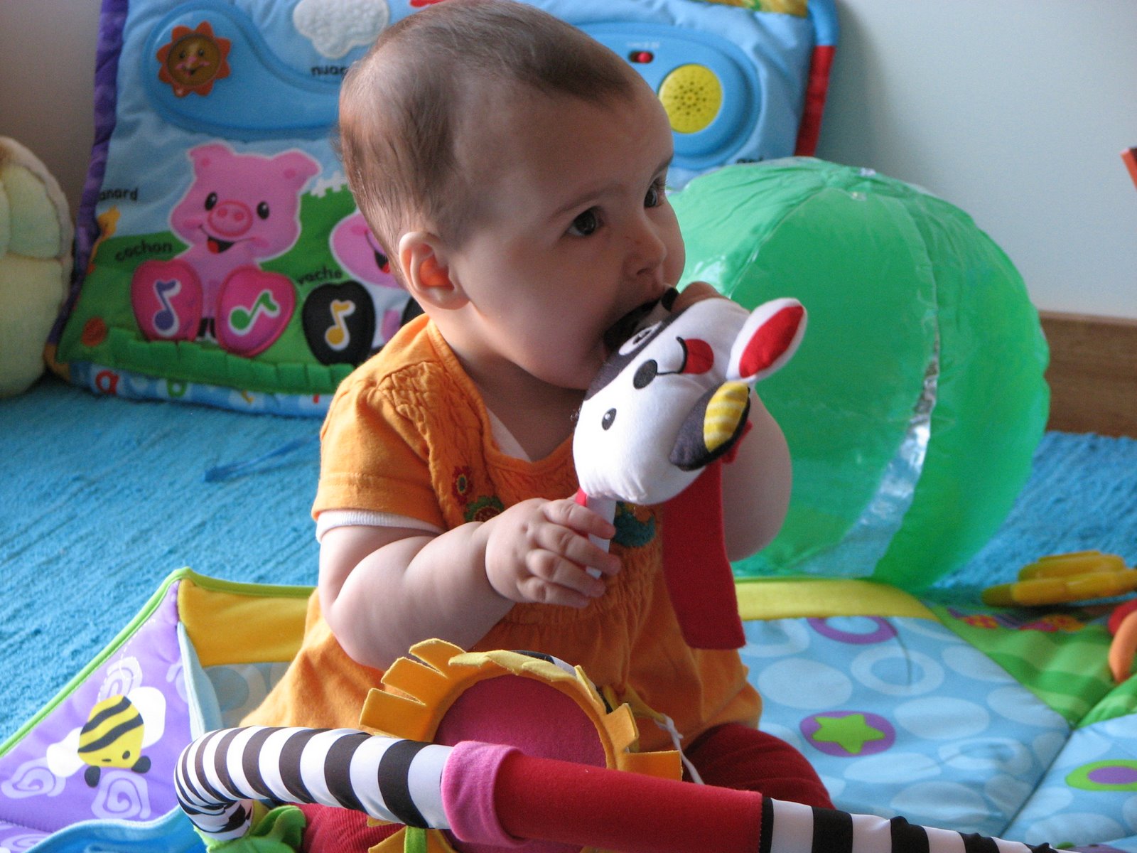 [IMG_5093.JPG]