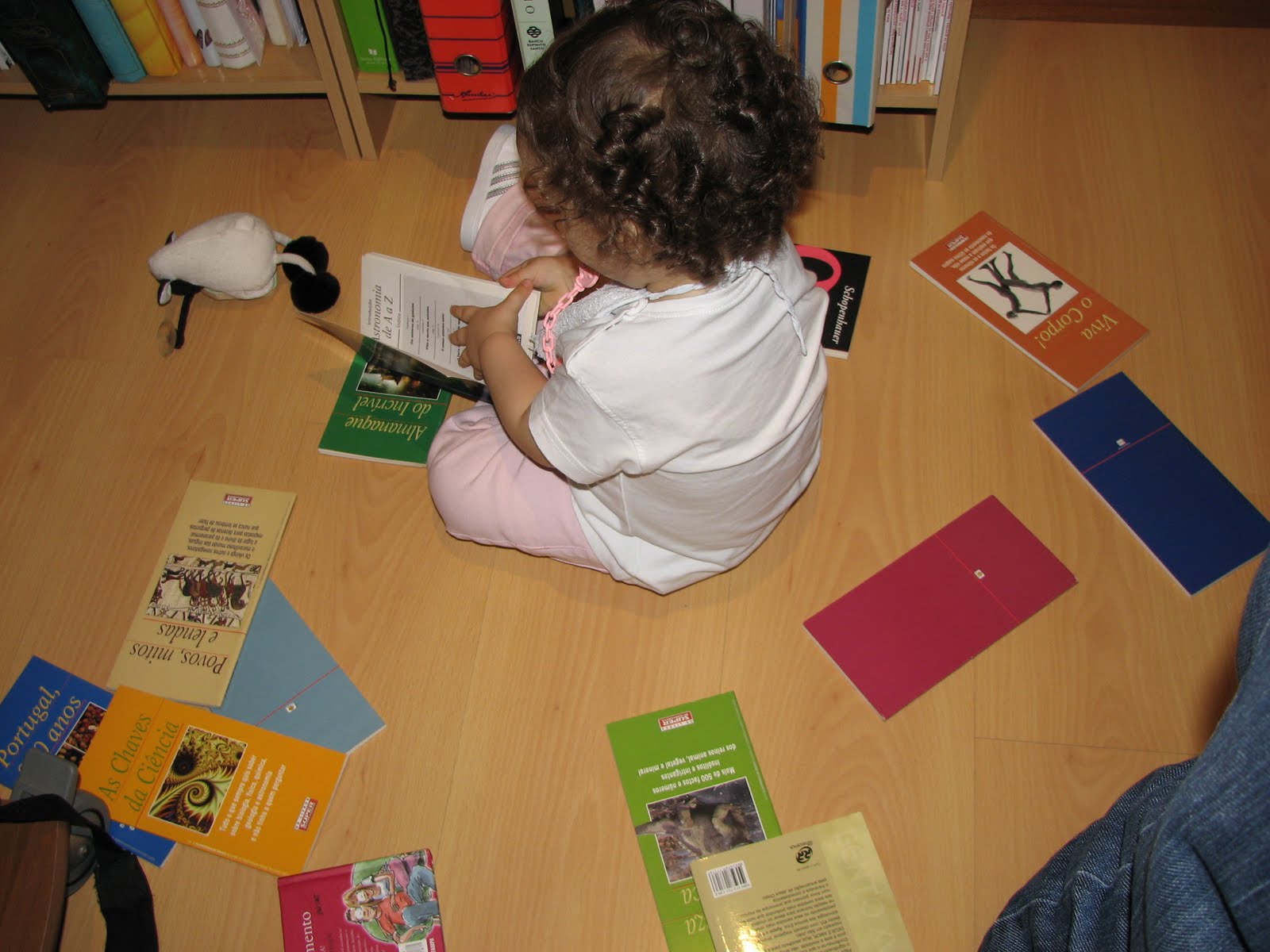 [IMG_5442.JPG]