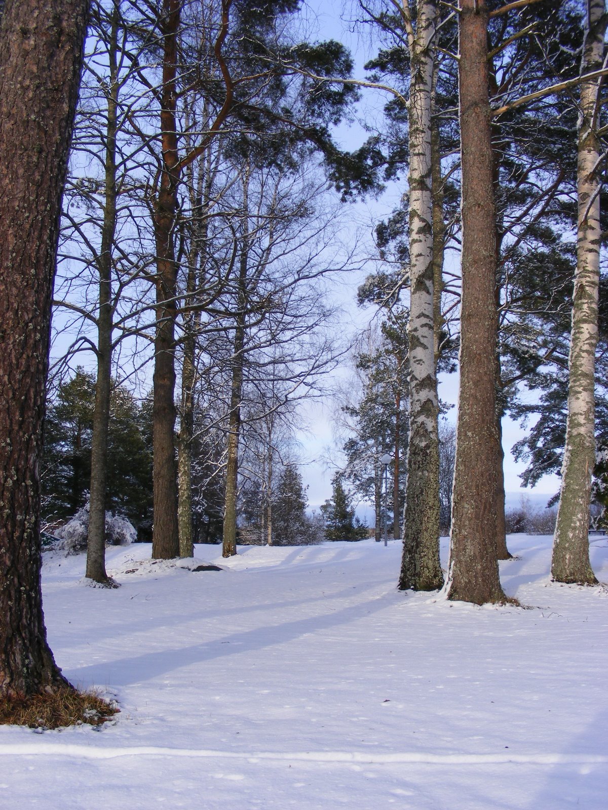 [DSCF1402.JPG]