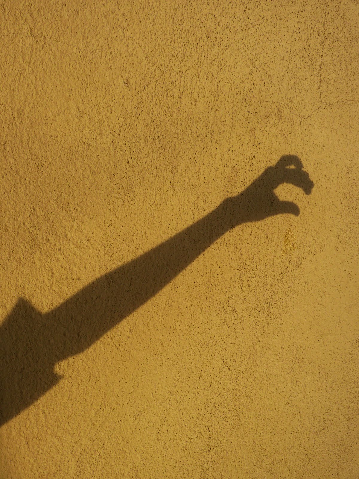 [P1010270.JPG]