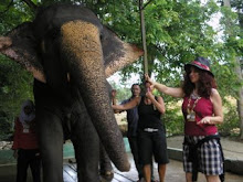 Hicran Cigdem Yorgancioglu Elephant love Malaysia