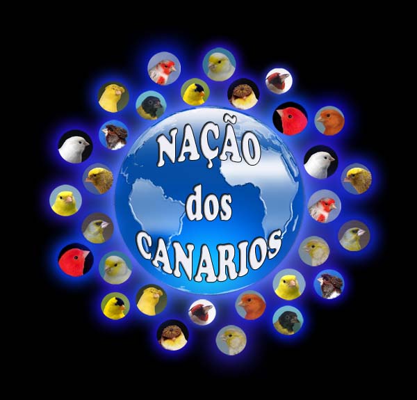 NAÇÃO DOS CANARIOS