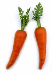 Wortel/Carrot