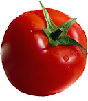 Tomat/Tomato