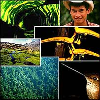 [Biodiversidad+colombiana.jpg]