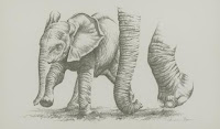 Elephant Calf by Andrew Bone